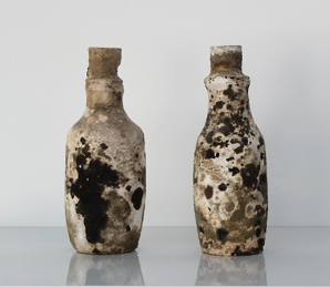 L'inévitable_clairière-98